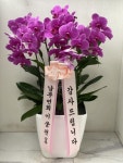 인천광역시남동구 꽃배달, 인천광역시남동구 꽃집, 인천광역시 남동구 매소홀로 816 꽃집, (구월동) 꽃집, 인천광역시 남동구 매소홀로 816... 