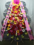 인천광역시남동구 꽃배달, 인천광역시남동구 꽃집, 인천광역시 남동구 비류대로762번길 102 꽃집, 도림동 455-1 정플라워(도림동) 꽃집... 