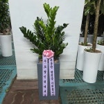 경기도화성시 꽃배달, 경기도화성시 꽃집, 경기도 화성시 봉담읍 삼천병마로 818 꽃집, 한백화훼유통 꽃집, 경기도 화성시 봉담읍 삼천병마로 818... 