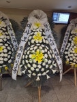 드림농원(영등동) 꽃집, 전북특별자치도 익산시 고봉로18길 86 꽃배달, 백세인생 드림농원(영등동) 꽃배달 - 백세인생 드림농원... 