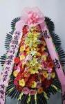 경기도 성남시 수정구 신촌남로 19 꽃배달, 101호(신촌동) 꽃배달 - 주식회사 네온플라워 플라워119꽃배달서비스 - 생일, 개업, 축하, 근조 꽃배달... 