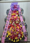 강동구 초광로294번길 45 꽃집, 강동구천호대로213길9 꽃집, 서울특별시 강동구 초광로294번길 45 꽃배달, 강동구천호대로213길9 꽃배달 - 썬플라워... 