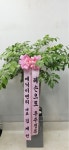 (내곡동) 오성농원 꽃집, 서울특별시 서초구 헌인릉1길 22 꽃배달, (내곡동) 오성농원 꽃배달 - 오성농원 플라워119꽃배달서비스 - 생일, 개업... 