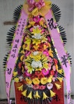대구광역시동구 꽃배달, 대구광역시동구 꽃집, 대구광역시 동구 아양로9길 76-3 꽃집, (신암동) 꽃집, 대구광역시 동구 아양로9길 76-3 꽃배달... 