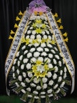 부산광역시남구 꽃배달, 부산광역시남구 꽃집, 부산광역시 남구 문현로 37-7 꽃집, 부산광역시 남구 진남로 188번길 52-17 꽃집, 부산광역시 남구... 