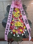 우리화원(세곡동) 꽃집, 서울특별시 강남구 헌릉로 652 꽃배달... 꽃바구니, 명품관, 화분관엽, 난, 동양란, 서양란, 화환, 근조화환, 축하화환... 