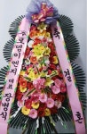 경기도 성남시 수정구 신촌남로 19 꽃배달, 101호(신촌동) 꽃배달 - 주식회사 네온플라워 플라워119꽃배달서비스 - 생일, 개업, 축하, 근조 꽃배달... 