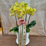 세종특별자치시 꽃배달, 세종특별자치시 꽃집, 세종특별자치시 금남면 금남구즉로 232 꽃집, 386-2 꽃집, 세종특별자치시 금남면 금남구즉로 232... 