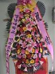 대구광역시동구 꽃배달, 대구광역시동구 꽃집, 대구광역시 동구 아양로9길 76-3 꽃집, (신암동) 꽃집, 대구광역시 동구 아양로9길 76-3 꽃배달... 