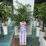 경기도화성시 꽃배달, 경기도화성시 꽃집, 경기도 화성시 봉담읍 삼천병마로 818 꽃집, 한백화훼유통 꽃집, 경기도 화성시 봉담읍 삼천병마로 818... 