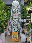 경상남도밀양시 꽃배달, 경상남도밀양시 꽃집, 경상남도 밀양시 중앙로 134 꽃집, 경남꽃집(가곡동) 꽃집, 경상남도 밀양시 중앙로 134 꽃배달... 