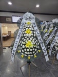 드림농원(영등동) 꽃집, 전북특별자치도 익산시 고봉로18길 86 꽃배달, 백세인생 드림농원(영등동) 꽃배달 - 백세인생 드림농원... 