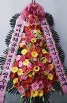 경기도성남시 수정구 꽃배달, 경기도성남시 수정구 꽃집, 경기도 성남시 수정구 신촌남로 19 꽃집, 101호(신촌동) 꽃집, 경기도 성남시 수정구... 