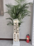 강원특별자치도횡성군 꽃배달, 강원특별자치도횡성군 꽃집, 강원특별자치도 횡성군 횡성읍 문정로 14 꽃집, 예삐꽃방 꽃집, 강원특별자치도... 