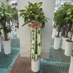 경기도화성시 꽃배달, 경기도화성시 꽃집, 경기도 화성시 봉담읍 삼천병마로 818 꽃집, 한백화훼유통 꽃집, 경기도 화성시 봉담읍 삼천병마로 818... 