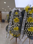 대전광역시유성구 꽃배달, 대전광역시유성구 꽃집, 대전광역시 유성구 북유성대로 34 꽃집, 정플라워(노은동) 꽃집, 대전광역시 유성구... 