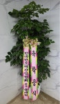 인천광역시남동구 꽃배달, 인천광역시남동구 꽃집, 인천광역시 남동구 매소홀로 816 꽃집, (구월동) 꽃집, 인천광역시 남동구 매소홀로 816... 