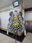 드림농원(영등동) 꽃집, 전북특별자치도 익산시 고봉로18길 86 꽃배달, 백세인생 드림농원(영등동) 꽃배달 - 백세인생 드림농원... 