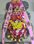대구광역시동구 꽃배달, 대구광역시동구 꽃집, 대구광역시 동구 아양로9길 76-3 꽃집, (신암동) 꽃집, 대구광역시 동구 아양로9길 76-3 꽃배달... 
