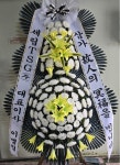 대구광역시동구 꽃배달, 대구광역시동구 꽃집, 대구광역시 동구 아양로9길 76-3 꽃집, (신암동) 꽃집, 대구광역시 동구 아양로9길 76-3 꽃배달... 