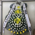 경기도남양주시 꽃배달, 경기도남양주시 꽃집, 경기도 남양주시 오남읍 진건오남로 872-7 꽃집, 양지리433-7(마평화원) 꽃집, 경기도 남양주시... 