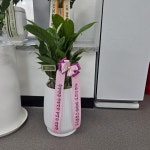 경기도평택시 꽃배달, 경기도평택시 꽃집, 경기도 평택시 서정역로 20 꽃집, 늘꽃(서정동) 꽃집, 경기도 평택시 서정역로 20 꽃배달, 늘꽃(서정동)... 