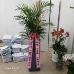 부산광역시해운대구 꽃배달, 부산광역시해운대구 꽃집, 부산광역시 해운대구 반송로 524 꽃집, (석대동) 은혜농원 꽃집, 부산광역시 해운대구... 