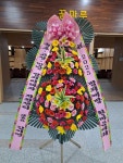 강원특별자치도속초시 꽃배달, 강원특별자치도속초시 꽃집, 강원특별자치도 속초시 이목로 140 꽃집, (노학동) 꽃집, 강원특별자치도 속초시... 