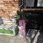 경기도평택시 꽃배달, 경기도평택시 꽃집, 경기도 평택시 서정역로 20 꽃집, 늘꽃(서정동) 꽃집, 경기도 평택시 서정역로 20 꽃배달, 늘꽃(서정동)... 