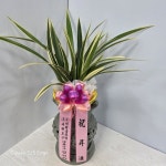 부산광역시부산진구 꽃배달, 부산광역시부산진구 꽃집, 부산광역시 부산진구 동평로420번길 18 꽃집, 56호 (4층)(양정동) 꽃집, 부산광역시... 