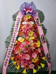 경기도 성남시 수정구 신촌남로 19 꽃배달, 101호(신촌동) 꽃배달 - 주식회사 네온플라워 플라워119꽃배달서비스 - 생일, 개업, 축하, 근조 꽃배달... 
