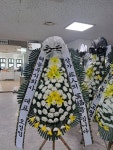 전라북도진안군 꽃배달, 전라북도진안군 꽃집, 전라북도 진안군 진안읍 학천변길 93 꽃집, 마이산꽃농원 꽃집, 전라북도 진안군 진안읍 학천변길... 