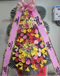 대구광역시동구 꽃배달, 대구광역시동구 꽃집, 대구광역시 동구 아양로9길 76-3 꽃집, (신암동) 꽃집, 대구광역시 동구 아양로9길 76-3 꽃배달... 