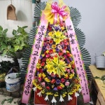 안계면 안계시장길 53-5 꽃집, 꽃집, 경상북도 의성군 안계면... 화분관엽, 난, 동양란, 서양란, 화환, 근조화환, 축하화환, 쥬얼리, 케잌, 샴페인... 