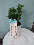 경상남도창녕군 꽃배달, 경상남도창녕군 꽃집, 경상남도 창녕군 창녕읍 창녕대로 61 꽃집, 경남꽃식물원 꽃집, 경상남도 창녕군 창녕읍 창녕대로... 
