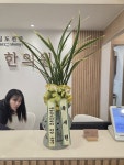 부산광역시해운대구 꽃배달, 부산광역시해운대구 꽃집, 부산광역시 해운대구 반송로 524 꽃집, (석대동) 은혜농원 꽃집, 부산광역시 해운대구... 