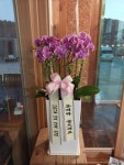 부산광역시해운대구 꽃배달, 부산광역시해운대구 꽃집, 부산광역시 해운대구 반송로 524 꽃집, (석대동) 은혜농원 꽃집, 부산광역시 해운대구... 