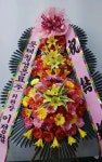 경기도 성남시 수정구 신촌남로 19 꽃배달, 101호(신촌동) 꽃배달 - 주식회사 네온플라워 플라워119꽃배달서비스 - 생일, 개업, 축하, 근조 꽃배달... 