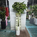 경기도화성시 꽃배달, 경기도화성시 꽃집, 경기도 화성시 봉담읍 삼천병마로 818 꽃집, 한백화훼유통 꽃집, 경기도 화성시 봉담읍 삼천병마로 818... 