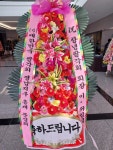 경상남도창녕군 꽃배달, 경상남도창녕군 꽃집, 경상남도 창녕군 창녕읍 창녕대로 61 꽃집, 경남꽃식물원 꽃집, 경상남도 창녕군 창녕읍 창녕대로... 