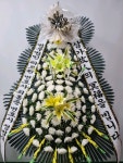 경기도 성남시 수정구 신촌남로 19 꽃배달, 101호(신촌동) 꽃배달 - 주식회사 네온플라워 플라워119꽃배달서비스 - 생일, 개업, 축하, 근조 꽃배달... 