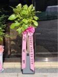 강원특별자치도횡성군 꽃배달, 강원특별자치도횡성군 꽃집, 강원특별자치도 횡성군 횡성읍 문정로 14 꽃집, 예삐꽃방 꽃집, 강원특별자치도... 