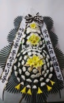 경기도 성남시 수정구 신촌남로 19 꽃배달, 101호(신촌동) 꽃배달 - 주식회사 네온플라워 플라워119꽃배달서비스 - 생일, 개업, 축하, 근조 꽃배달... 