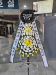 드림농원(영등동) 꽃집, 전북특별자치도 익산시 고봉로18길 86 꽃배달, 백세인생 드림농원(영등동) 꽃배달 - 백세인생 드림농원... 