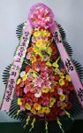 경기도 성남시 수정구 신촌남로 19 꽃배달, 101호(신촌동) 꽃배달 - 주식회사 네온플라워 플라워119꽃배달서비스 - 생일, 개업, 축하, 근조 꽃배달... 
