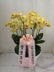 인천광역시남동구 꽃배달, 인천광역시남동구 꽃집, 인천광역시 남동구 매소홀로 816 꽃집, (구월동) 꽃집, 인천광역시 남동구 매소홀로 816... 