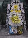 경상남도창녕군 꽃배달, 경상남도창녕군 꽃집, 경상남도 창녕군 창녕읍 창녕대로 61 꽃집, 경남꽃식물원 꽃집, 경상남도 창녕군 창녕읍 창녕대로... 