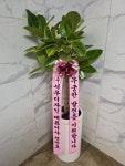 인천광역시남동구 꽃배달, 인천광역시남동구 꽃집, 인천광역시 남동구 매소홀로 816 꽃집, (구월동) 꽃집, 인천광역시 남동구 매소홀로 816... 