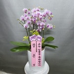 경기도화성시 꽃배달, 경기도화성시 꽃집, 경기도 화성시 봉담읍 삼천병마로 818 꽃집, 한백화훼유통 꽃집, 경기도 화성시 봉담읍 삼천병마로 818... 