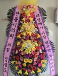 대구광역시동구 꽃배달, 대구광역시동구 꽃집, 대구광역시 동구 아양로9길 76-3 꽃집, (신암동) 꽃집, 대구광역시 동구 아양로9길 76-3 꽃배달... 